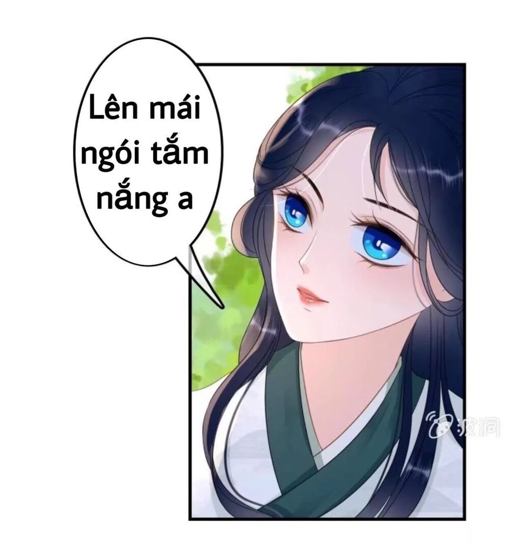 Sủng Phi Của Vương: Chapter 67