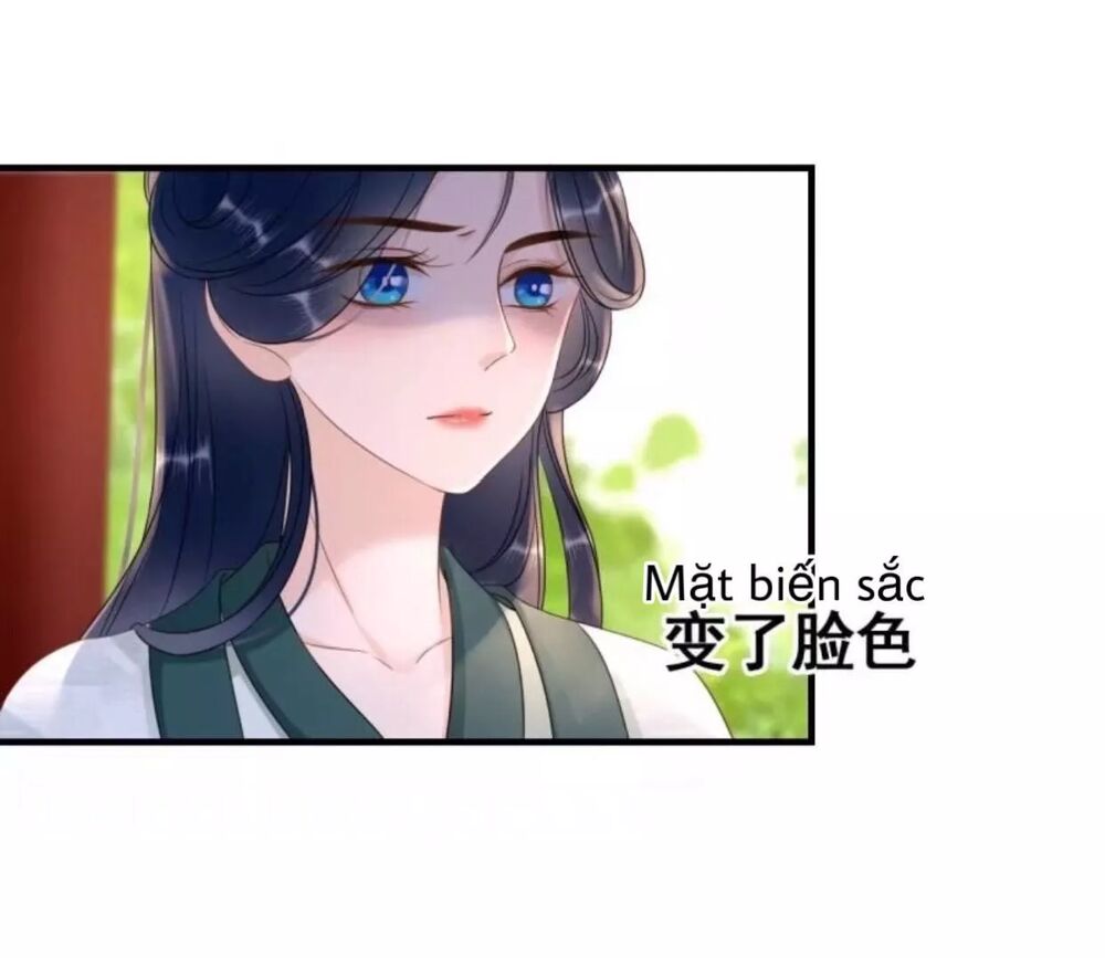 Sủng Phi Của Vương: Chapter 67