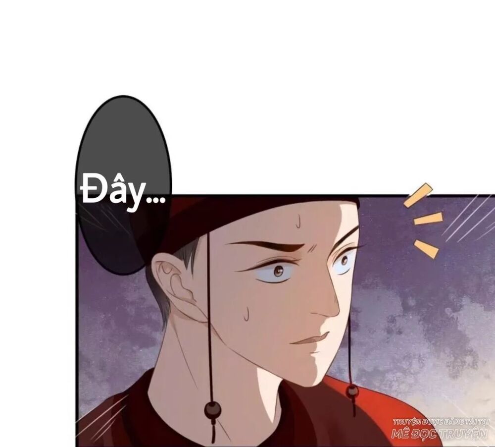 Sủng Phi Của Vương: Chapter 71