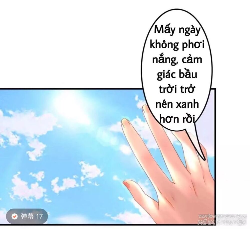 Sủng Phi Của Vương: Chapter 71