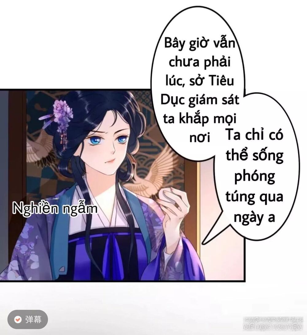 Sủng Phi Của Vương: Chapter 72