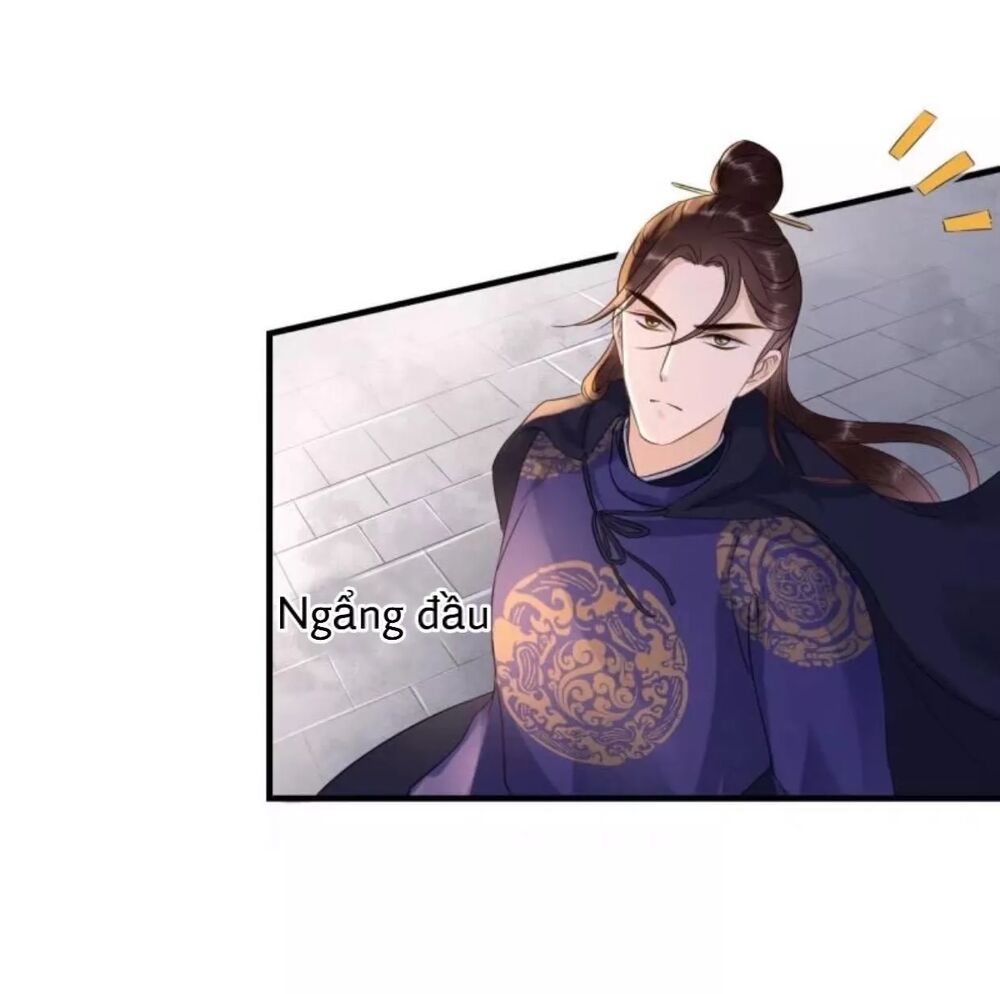 Sủng Phi Của Vương: Chapter 73