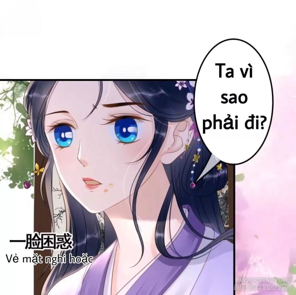 Sủng Phi Của Vương: Chapter 78