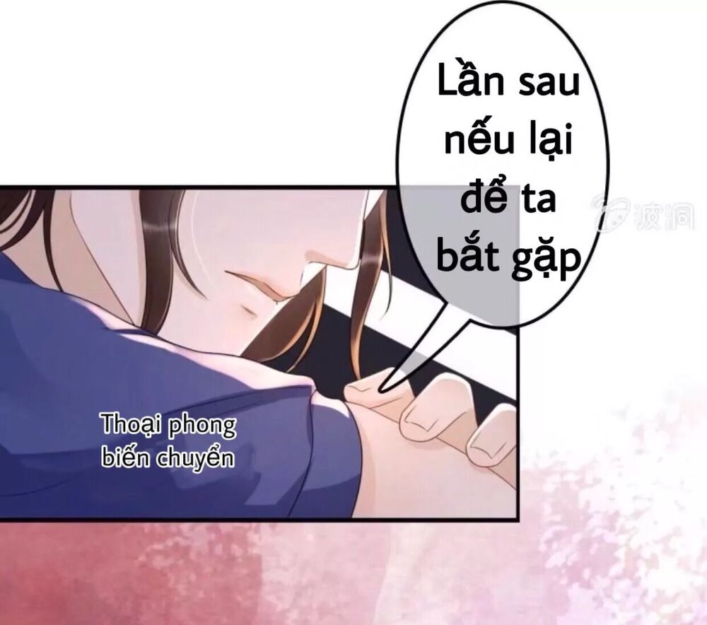 Sủng Phi Của Vương: Chapter 79