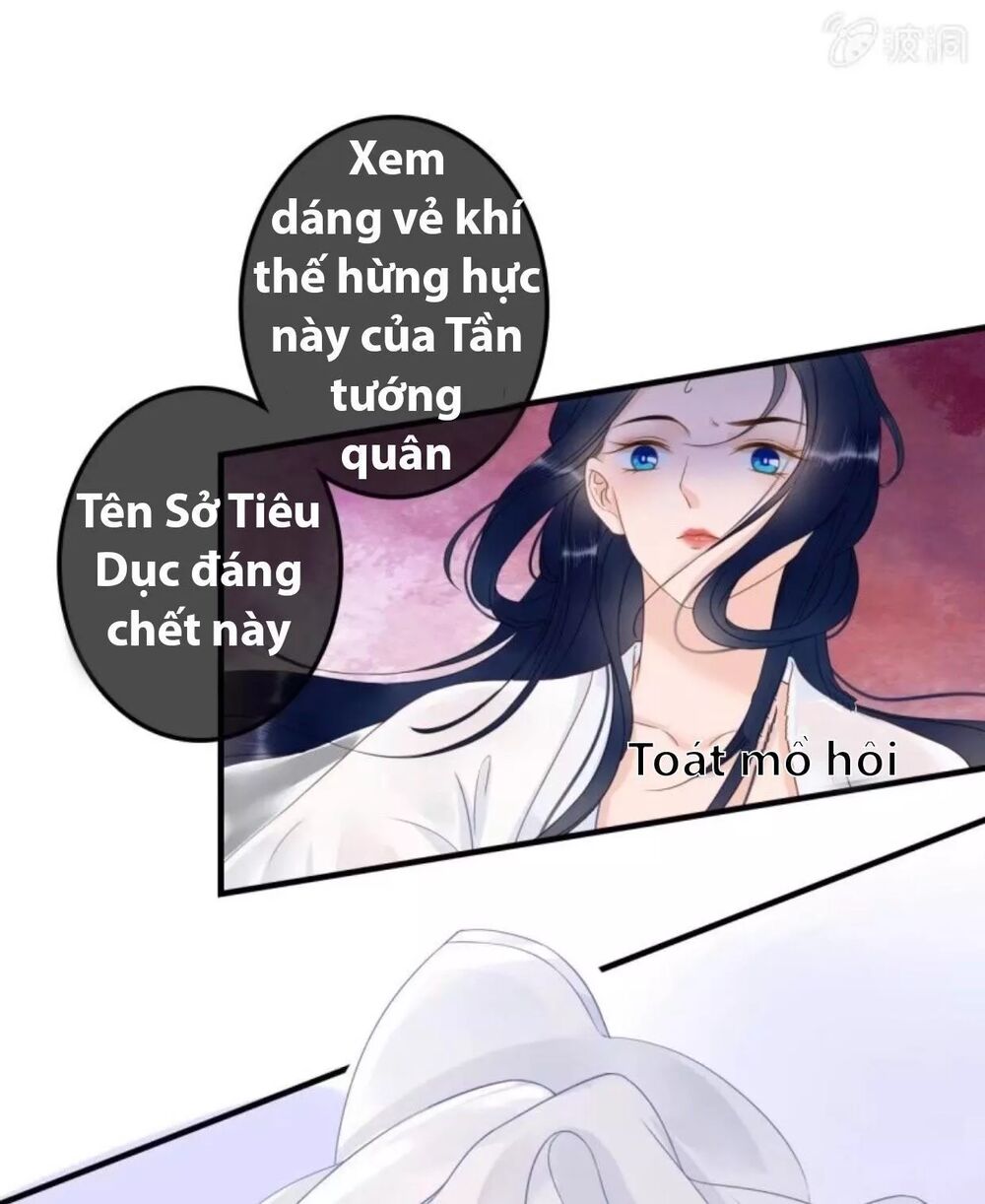 Sủng Phi Của Vương: Chapter 85