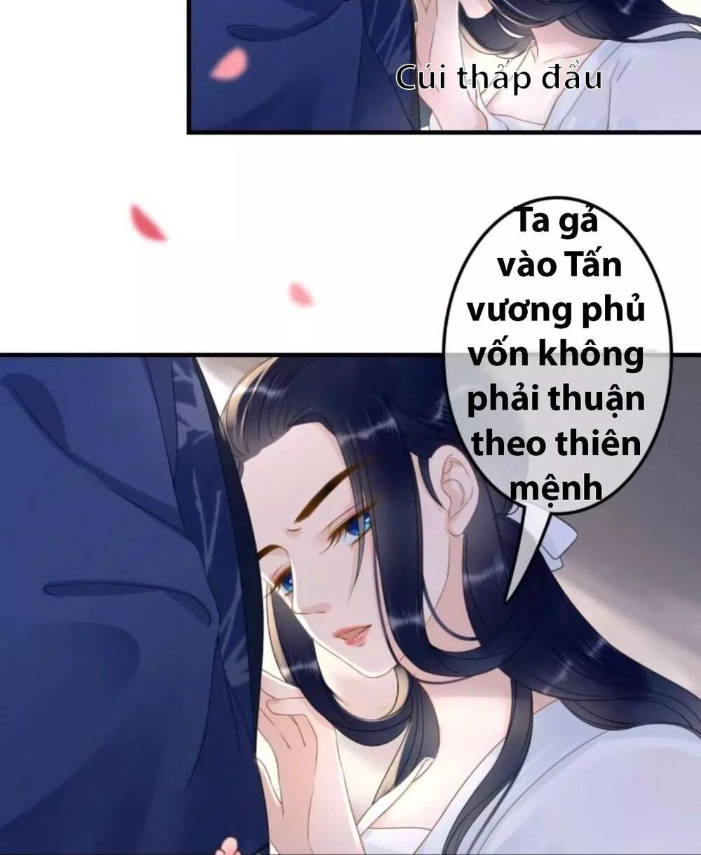 Sủng Phi Của Vương: Chapter 88