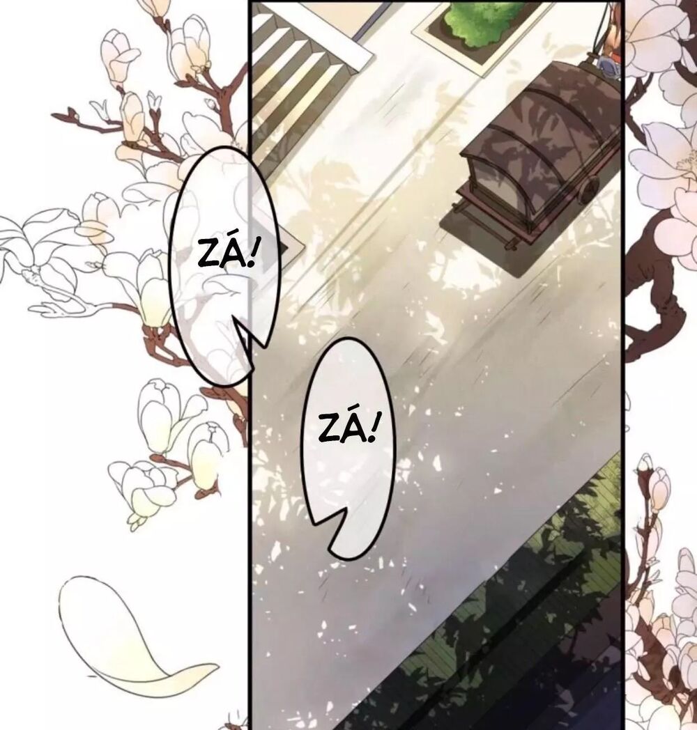 Sủng Phi Của Vương: Chapter 98