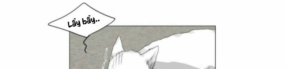 Vợ Ma: Chapter 56