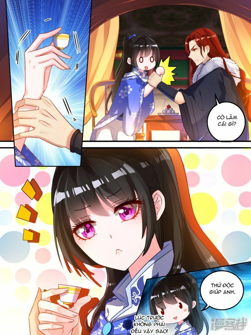 Xú Nữ Đích Hậu Cung: Chapter 10