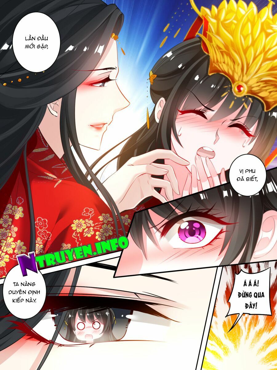 Xú Nữ Đích Hậu Cung: Chapter 23