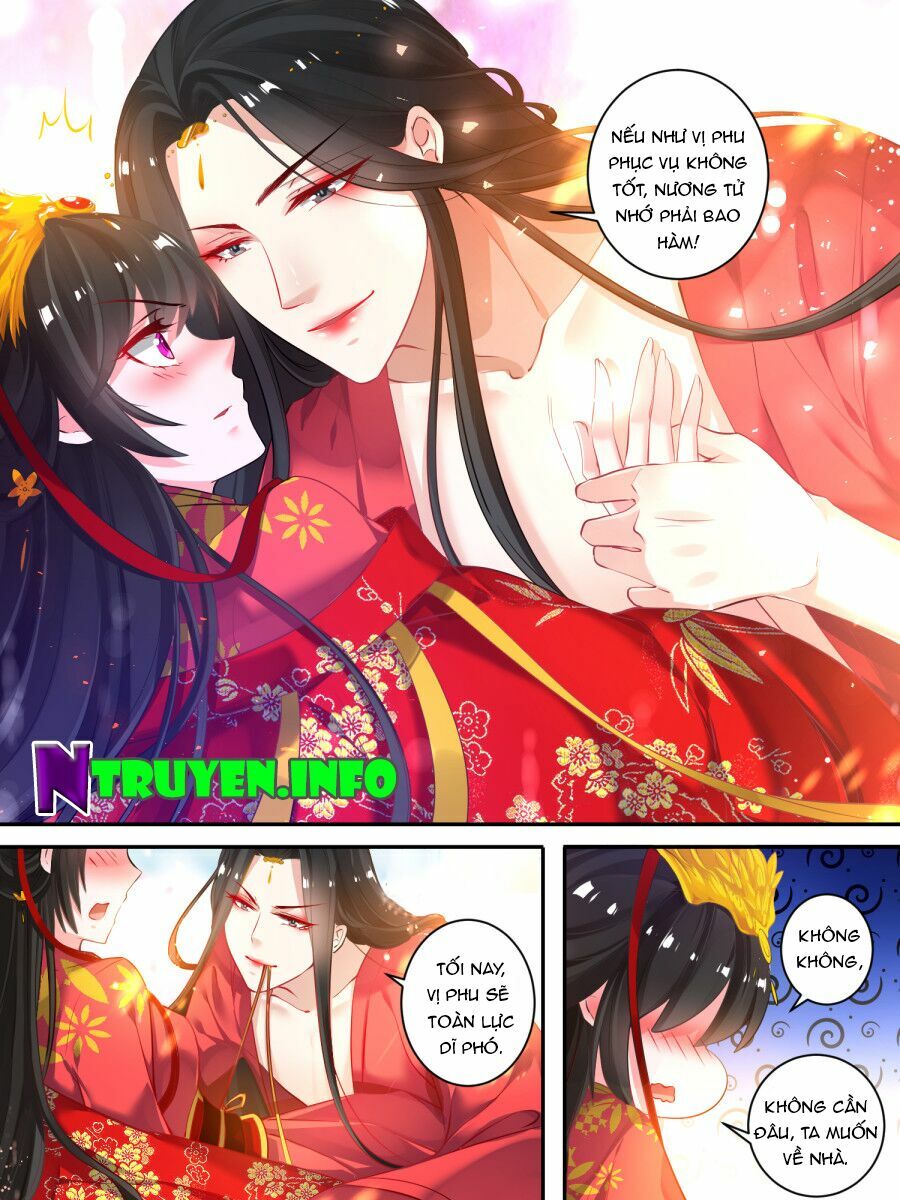 Xú Nữ Đích Hậu Cung: Chapter 23