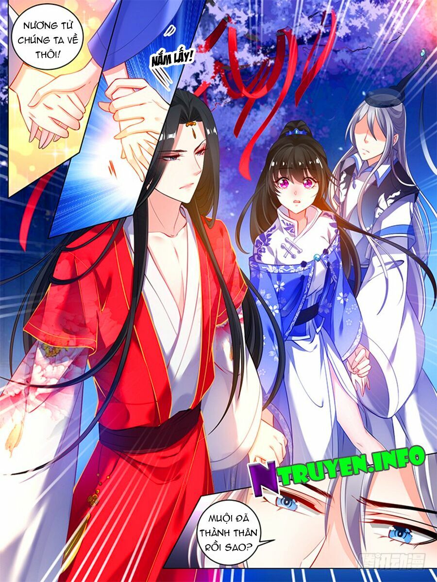 Xú Nữ Đích Hậu Cung: Chapter 36