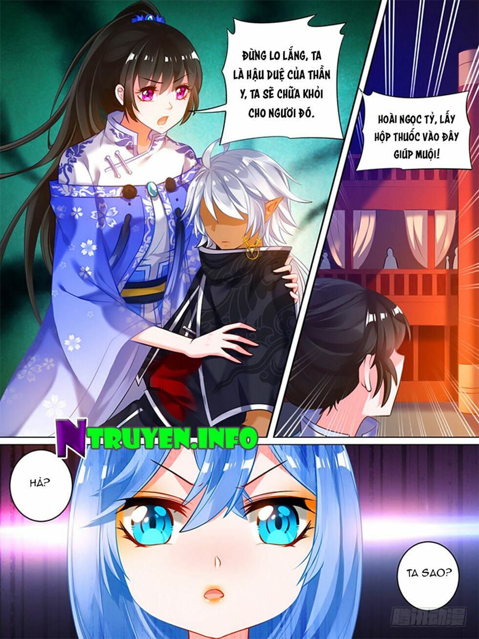Xú Nữ Đích Hậu Cung: Chapter 43