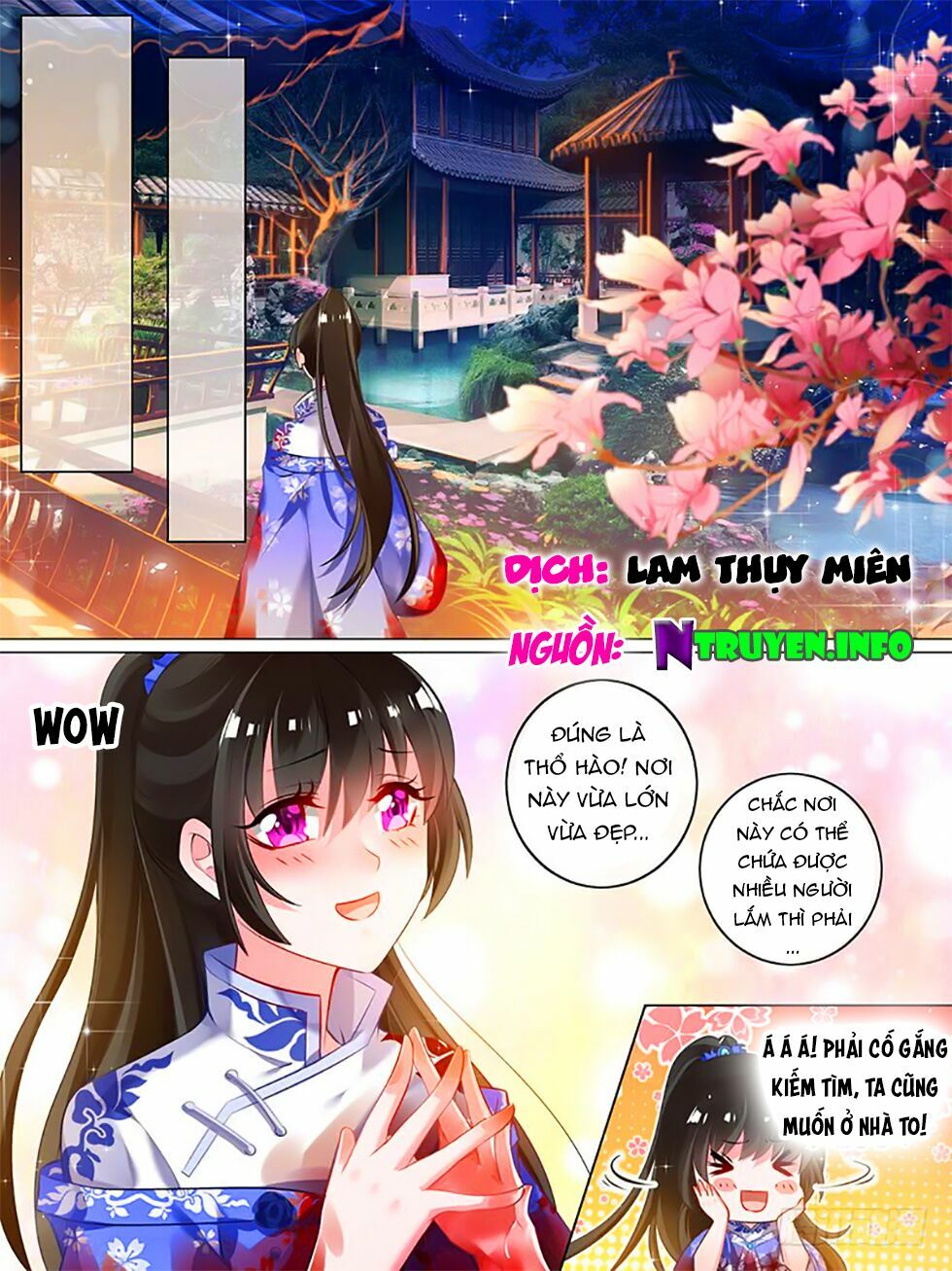 Xú Nữ Đích Hậu Cung: Chapter 44