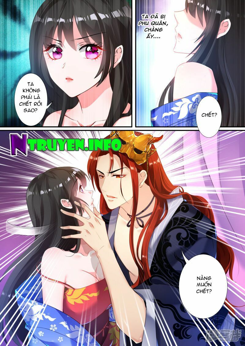 Xú Nữ Đích Hậu Cung: Chapter 5