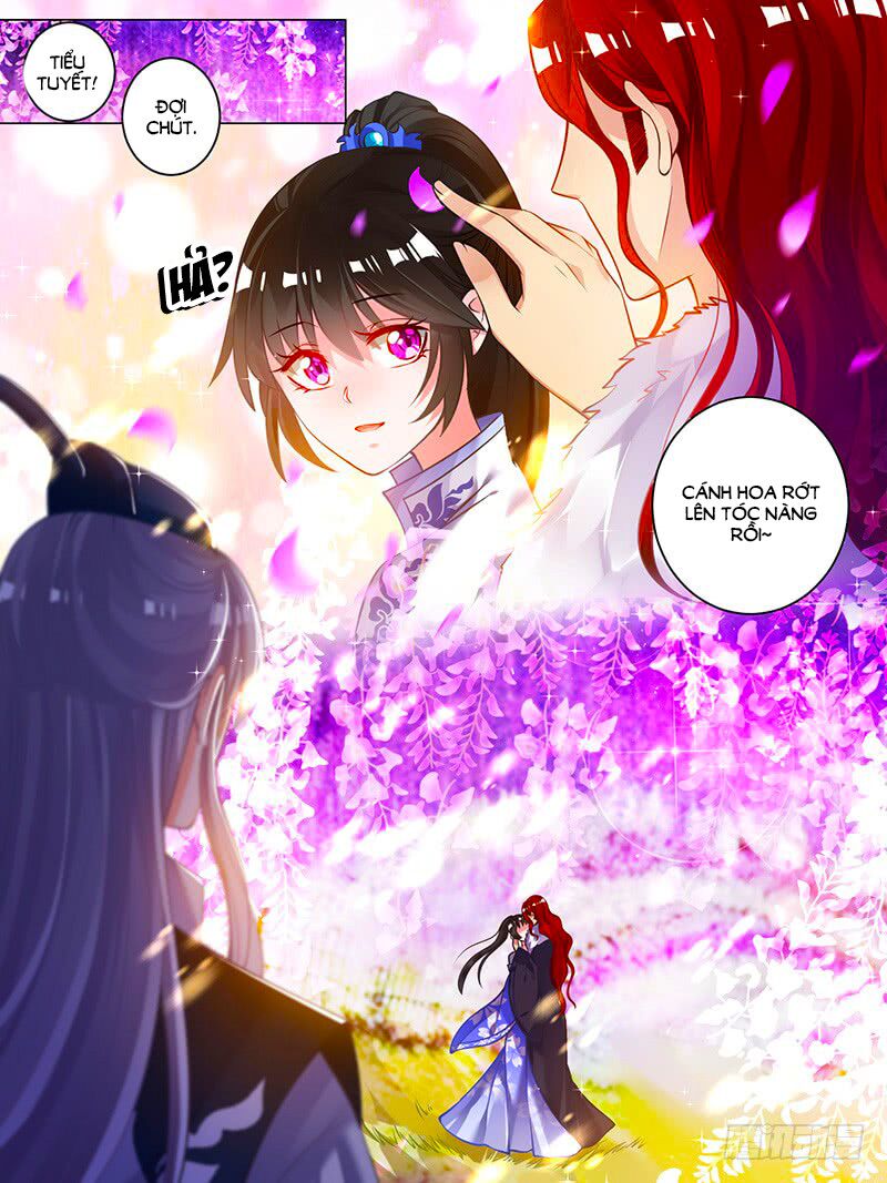 Xú Nữ Đích Hậu Cung: Chapter 52.4