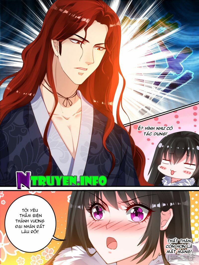 Xú Nữ Đích Hậu Cung: Chapter 7