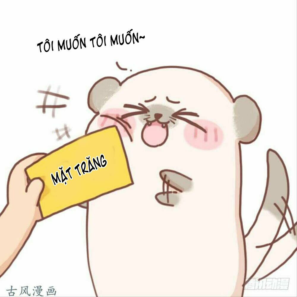 Xú Nữ Đích Hậu Cung: Chapter 86