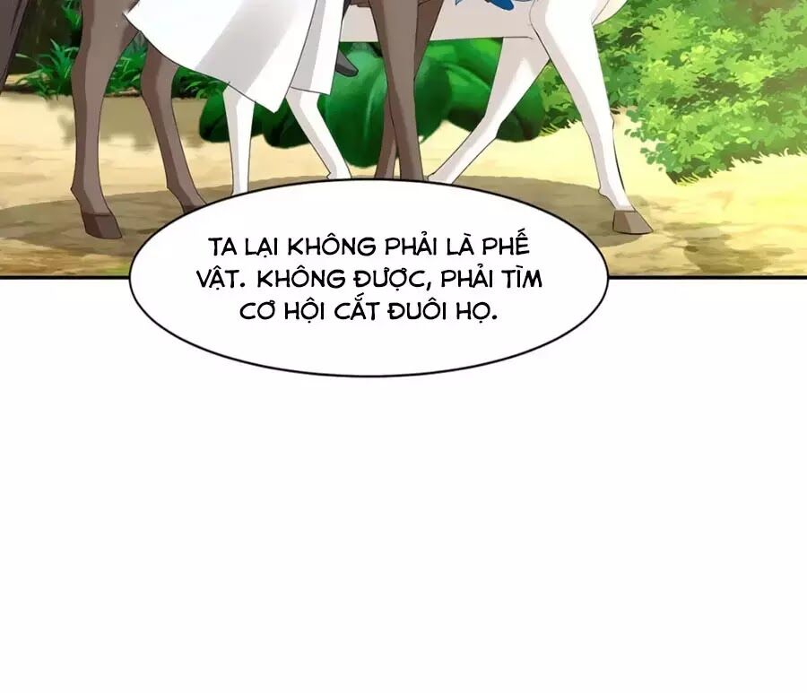 Kiêu Sủng Y Phi: Chapter 163