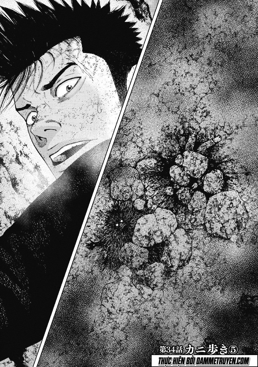 Monkey Peak - Đỉnh Núi Khỉ: Chapter 34