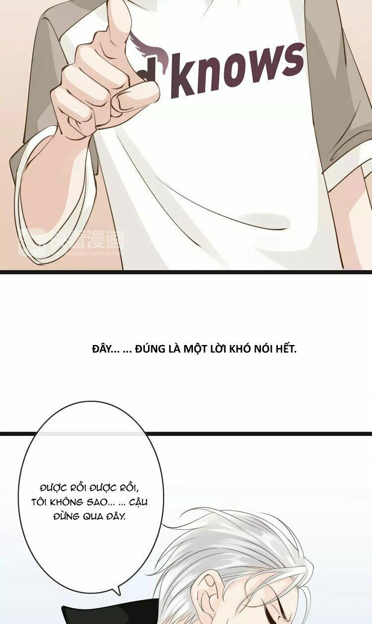 Thiên Thần Không Có Tiết Tháo: Chapter 12