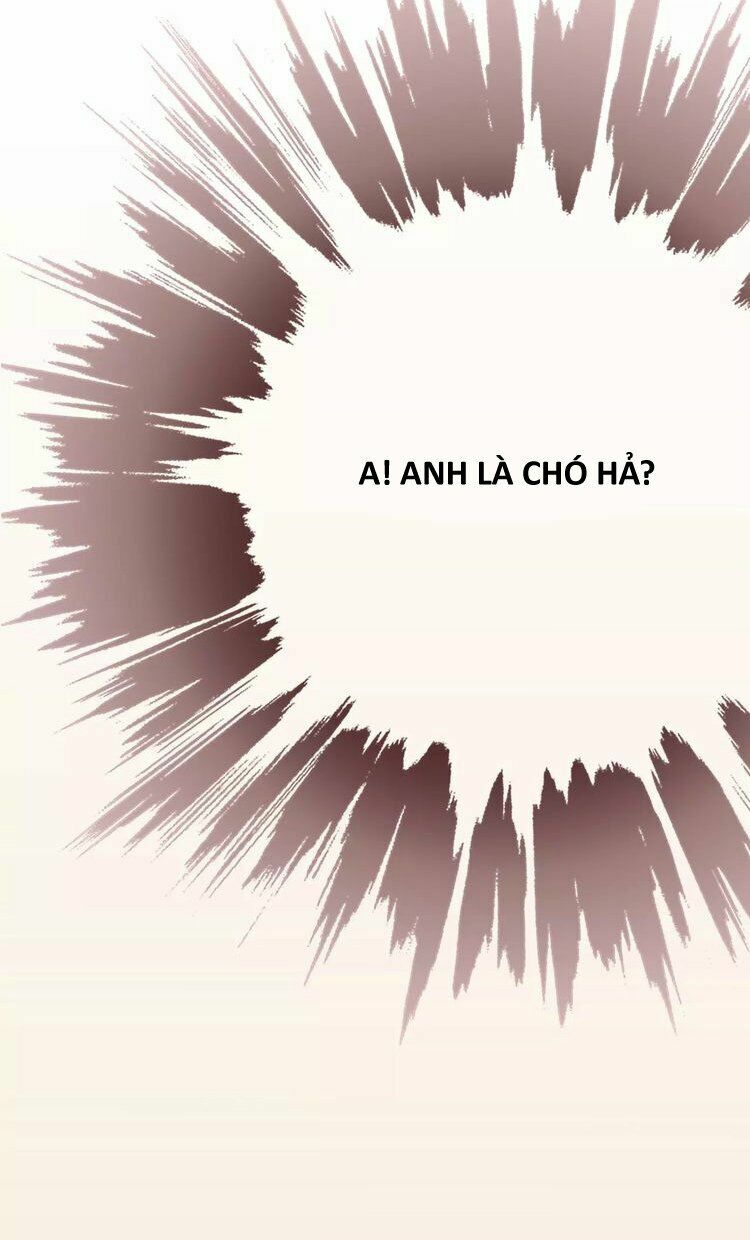 Thiên Thần Không Có Tiết Tháo: Chapter 18