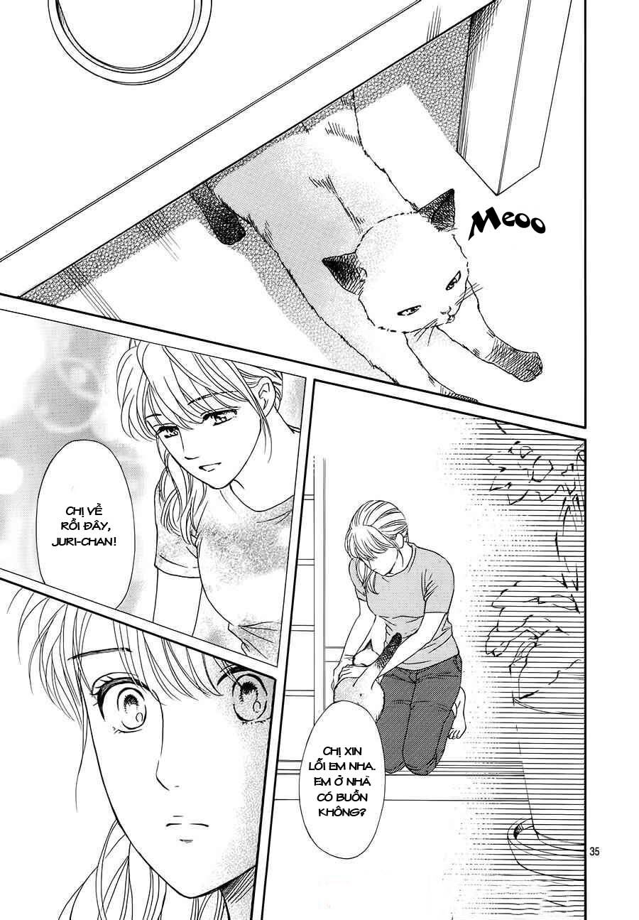Sumika Sumire: Chapter 34