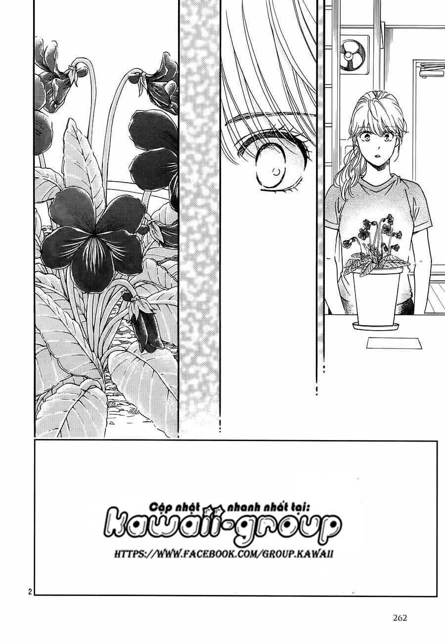 Sumika Sumire: Chapter 35