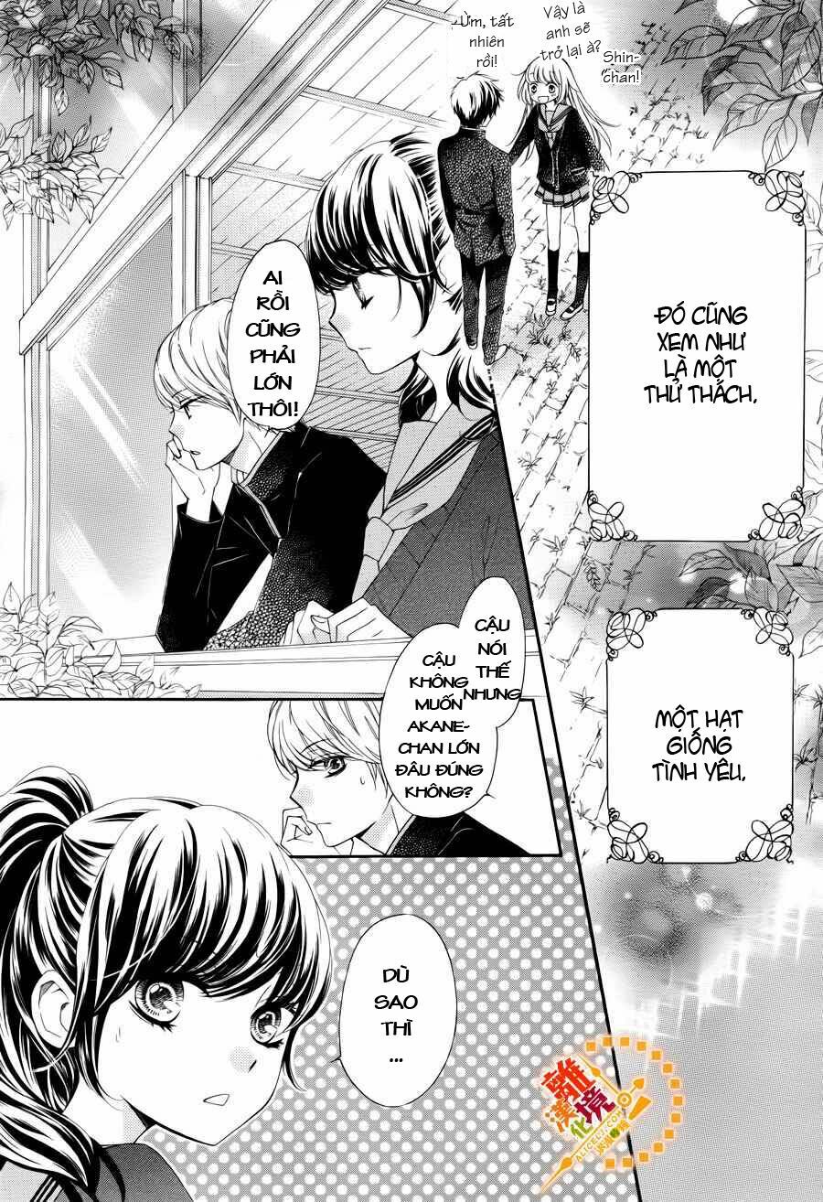 The Romantica Clock: Chapter 11