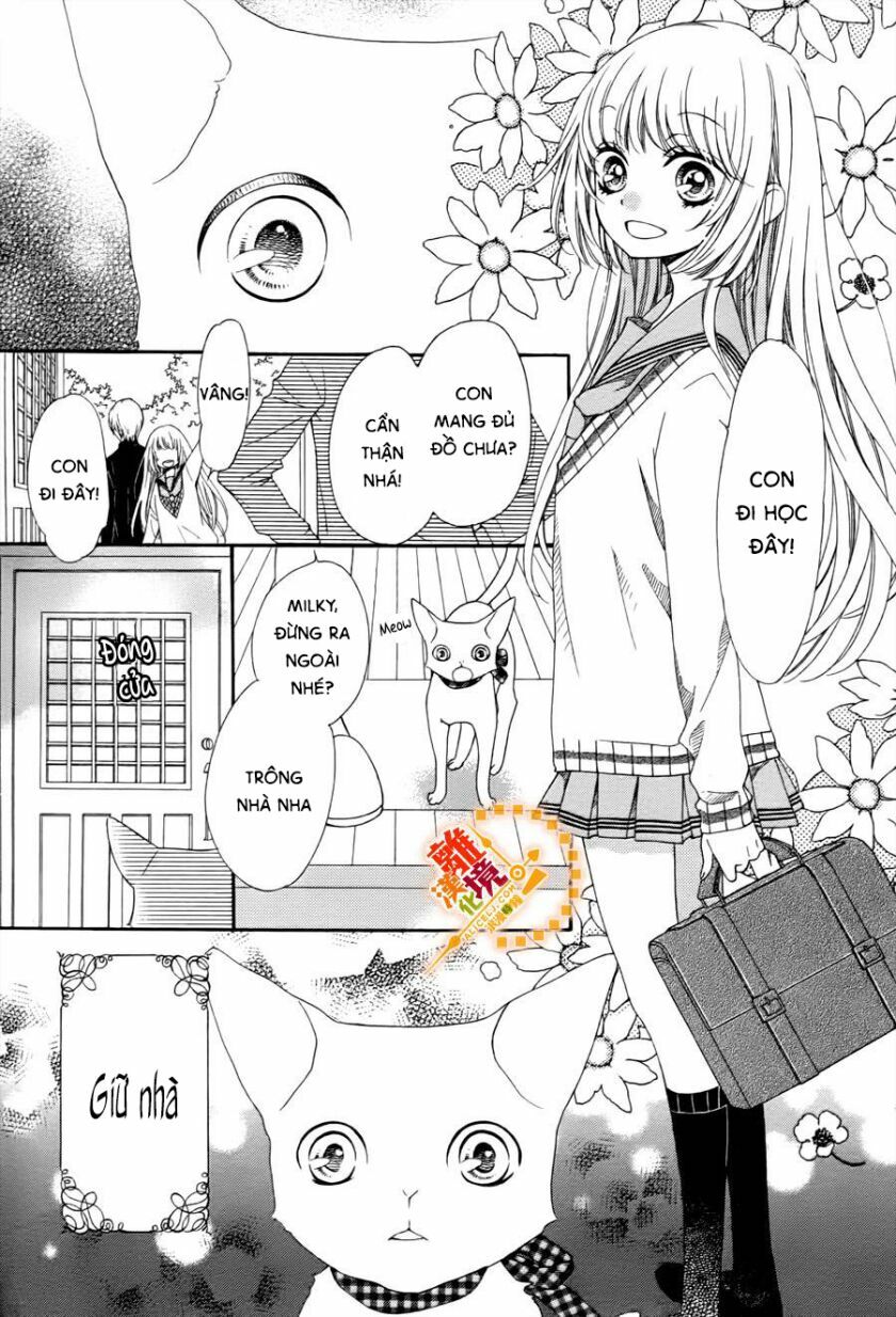 The Romantica Clock: Chapter 41.4