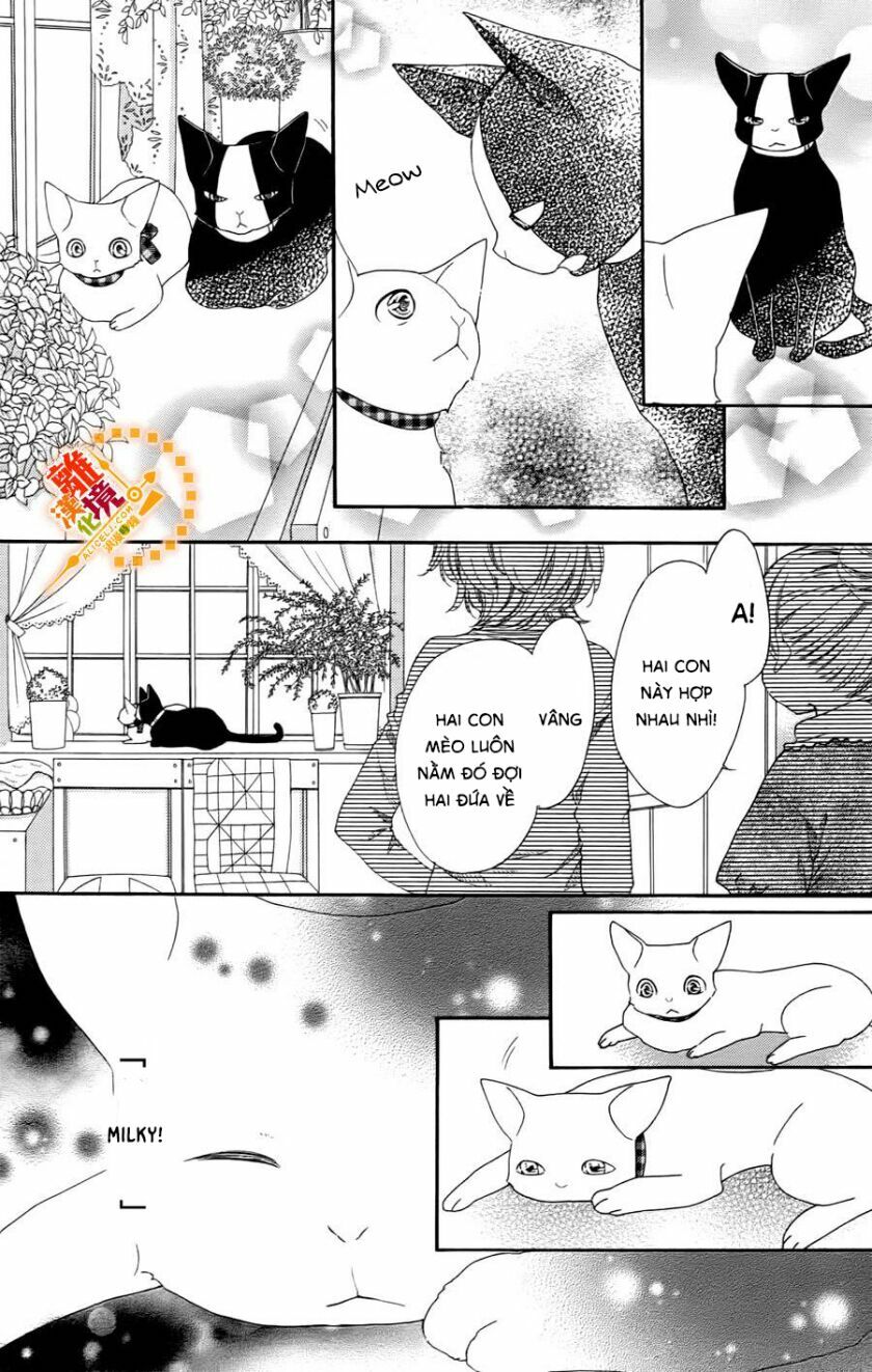 The Romantica Clock: Chapter 41.4
