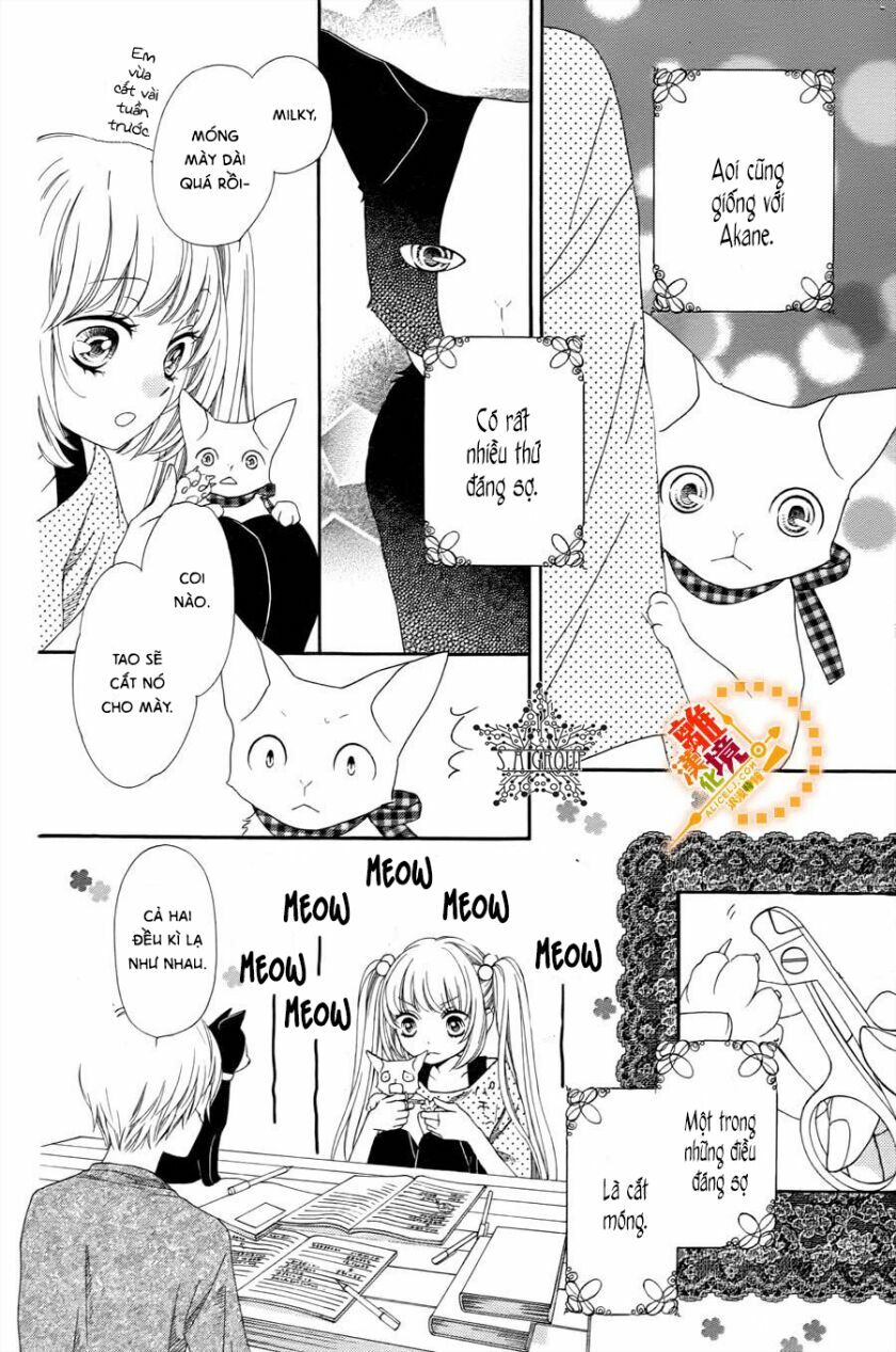 The Romantica Clock: Chapter 41.4