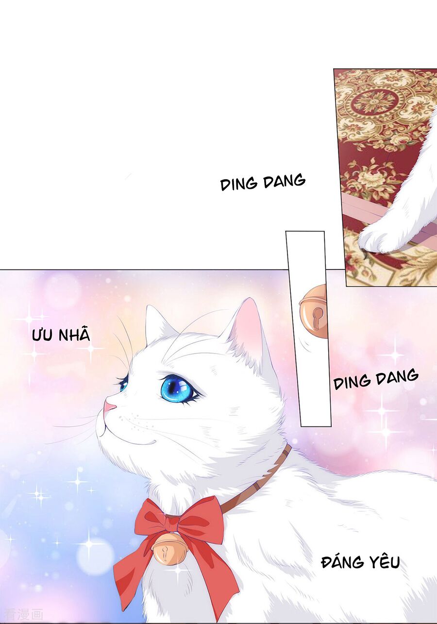 Huynh khống công tước gả không được: Chapter 41.1