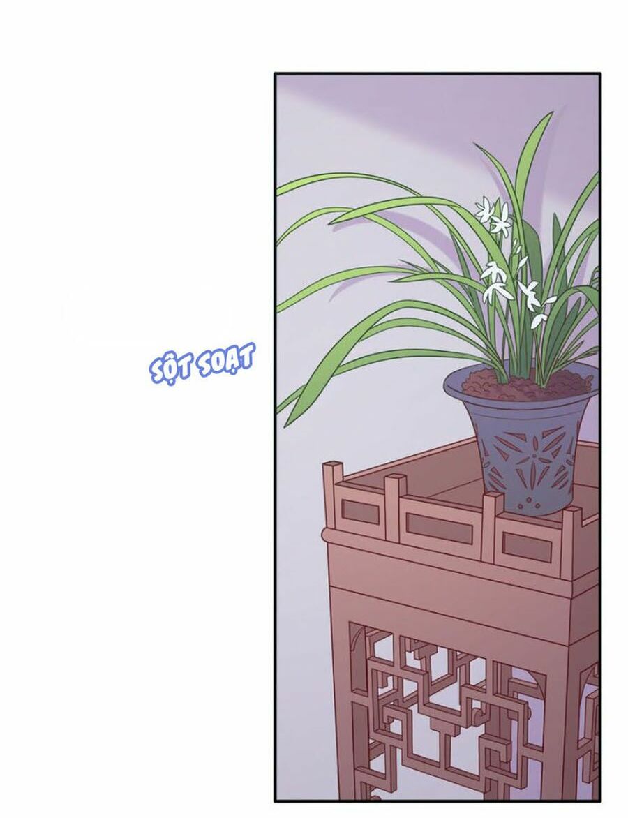 Vương tử thành phố và công chúa Amazon: Chapter 29