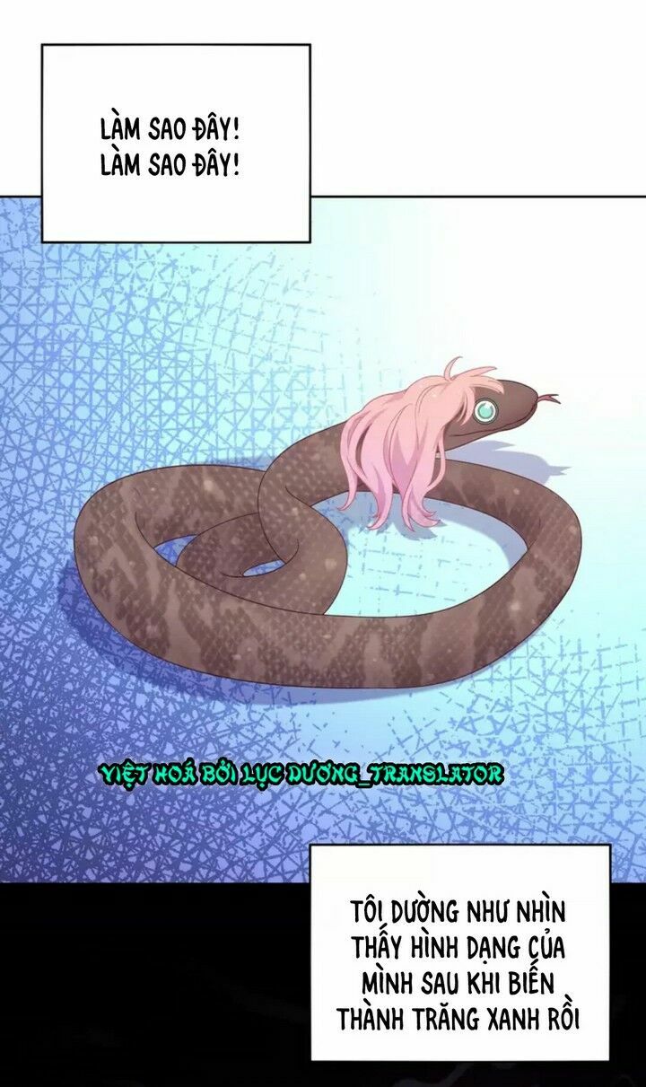 Vương tử thành phố và công chúa Amazon: Chapter 6