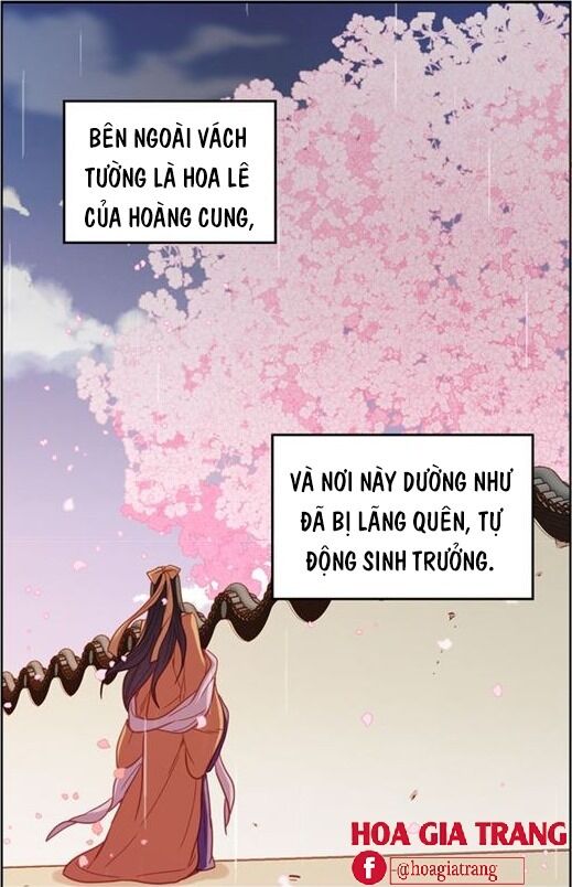 Ác nữ hoàng hậu: Chapter 71