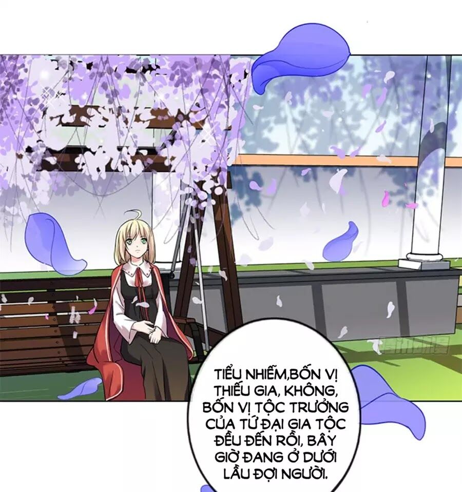 Nhật Ký Dạy Dỗ Của Gia Tộc Đáng Yêu: Chapter 73: End