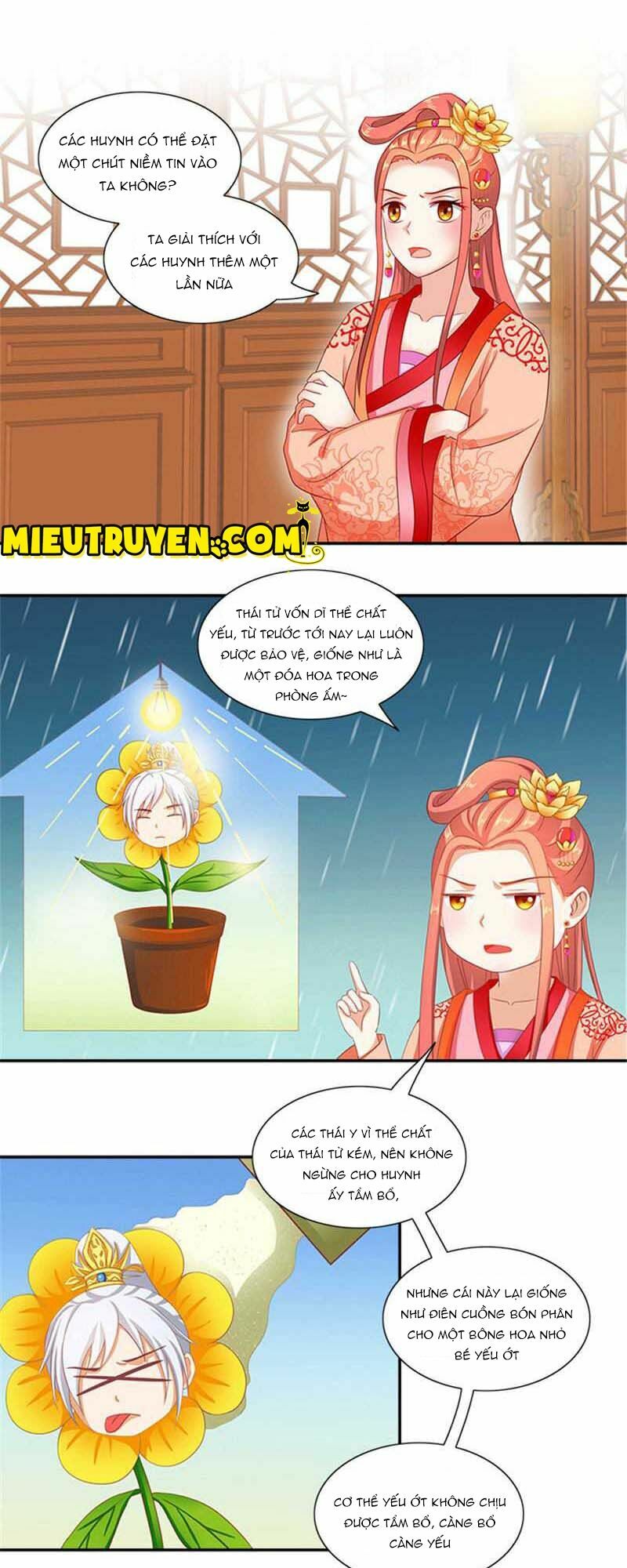Tận diệt vương gia mãn triều: Chapter 49