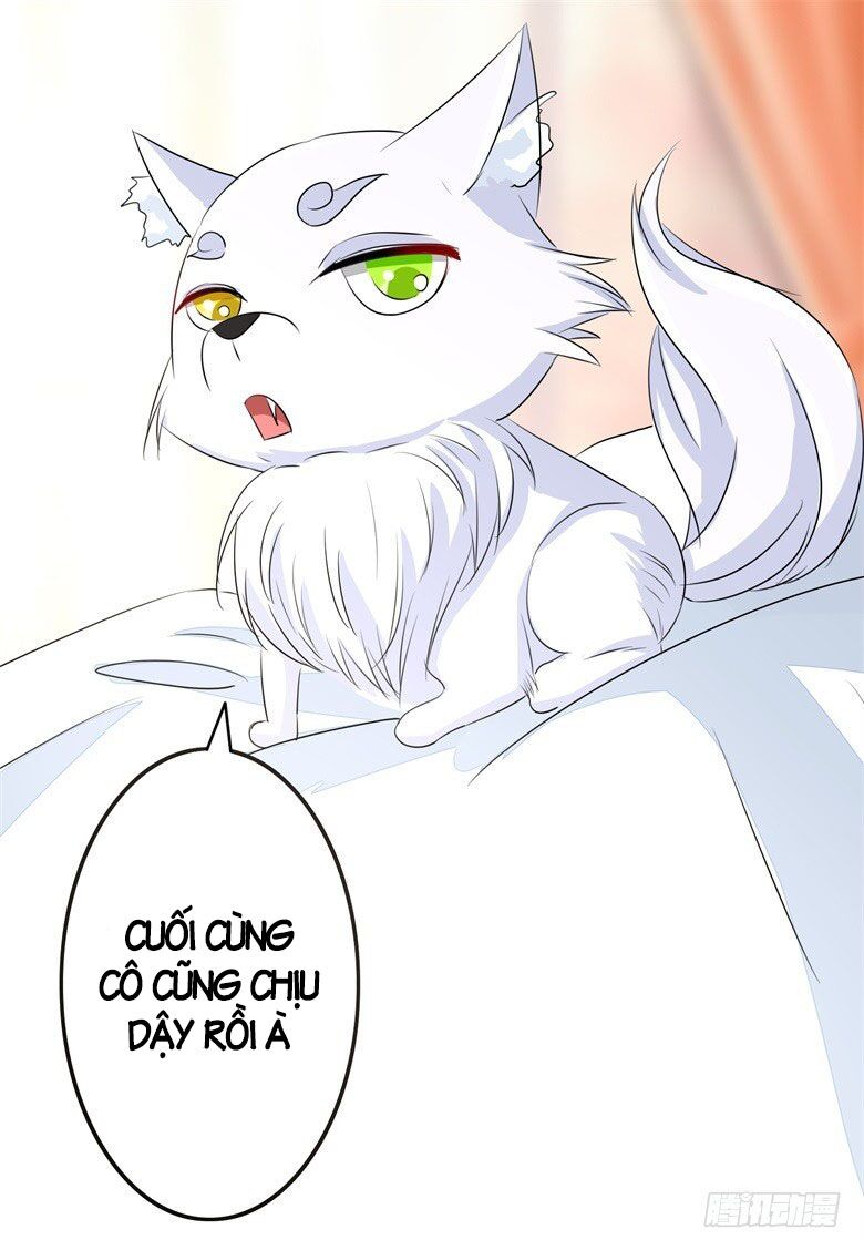 Dân Quốc Yêu Văn Lục: Chapter 64