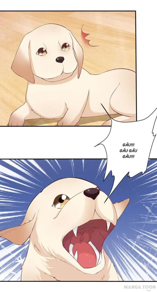 Bác Sĩ Sở Cũng Muốn Yêu: Chapter 160