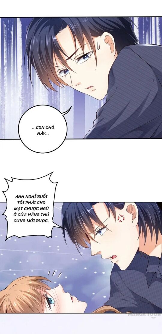 Bác Sĩ Sở Cũng Muốn Yêu: Chapter 160
