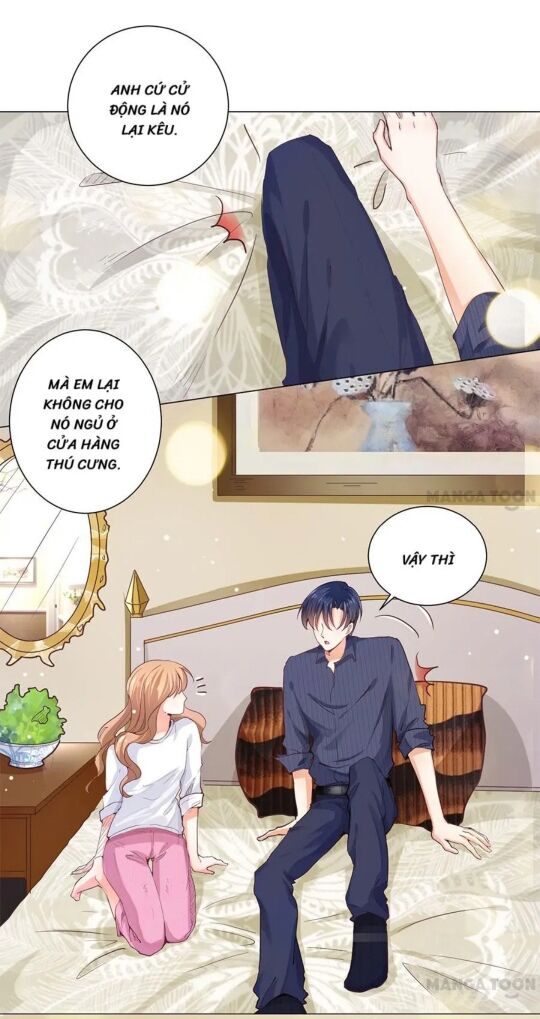 Bác Sĩ Sở Cũng Muốn Yêu: Chapter 160