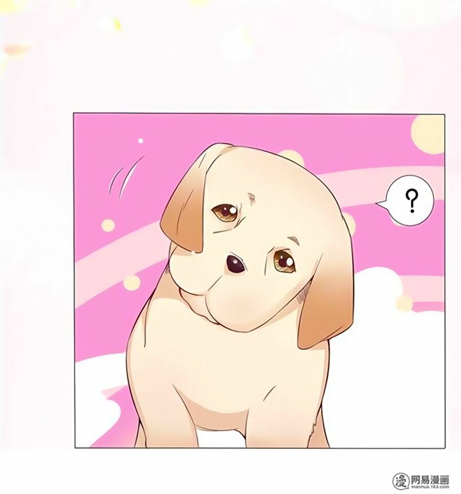 Bác Sĩ Sở Cũng Muốn Yêu: Chapter 161