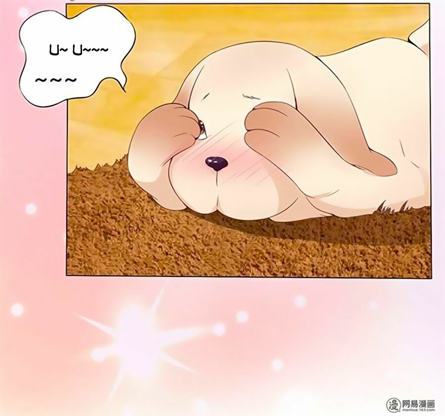 Bác Sĩ Sở Cũng Muốn Yêu: Chapter 161