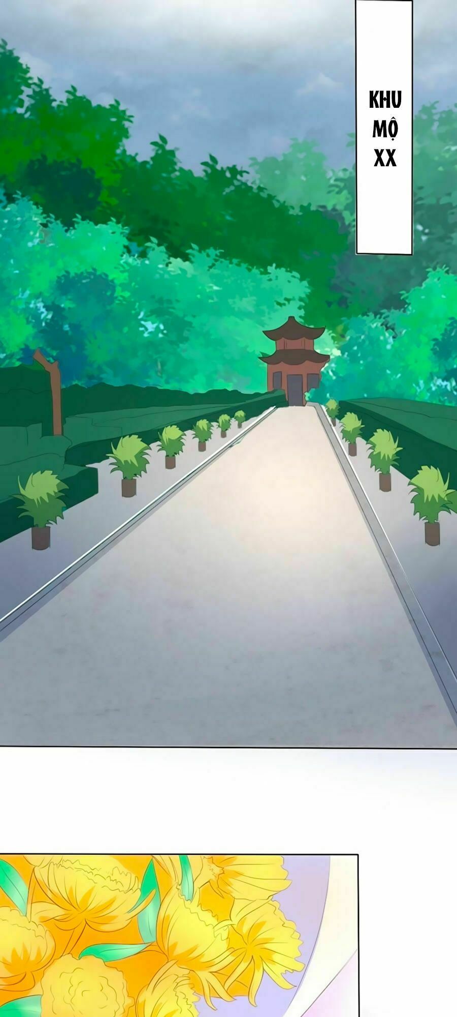 Bác Sĩ Sở Cũng Muốn Yêu: Chapter 204