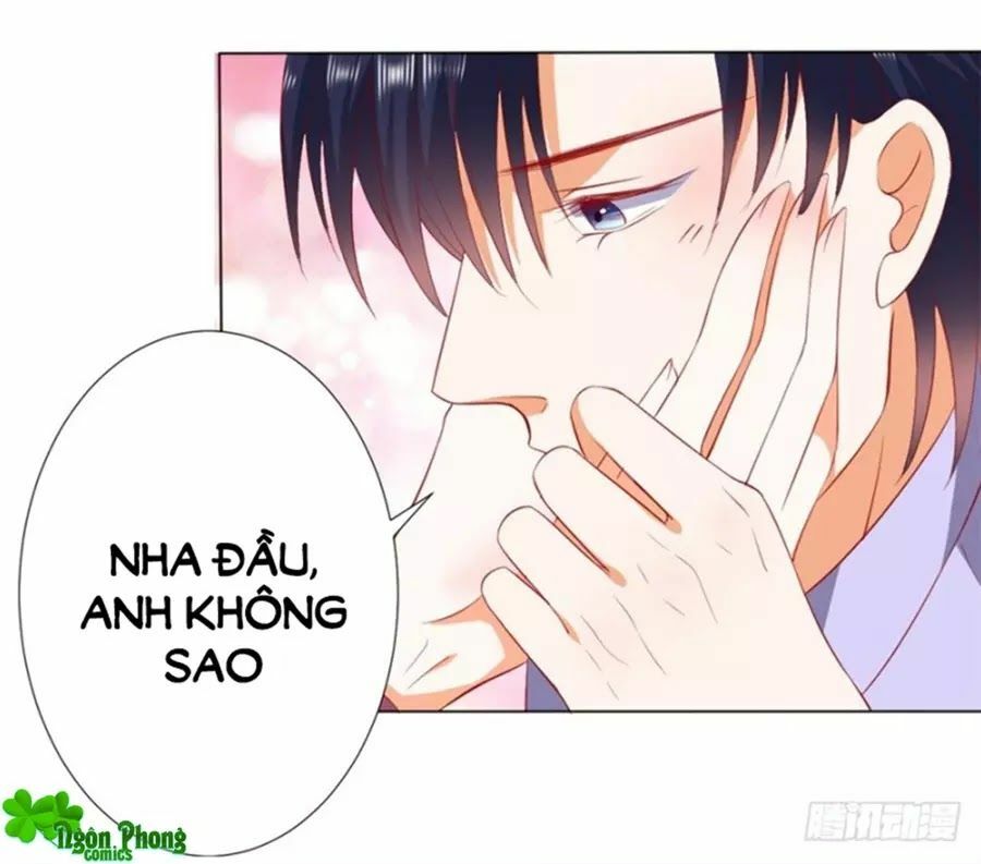 Bác Sĩ Sở Cũng Muốn Yêu: Chapter 229
