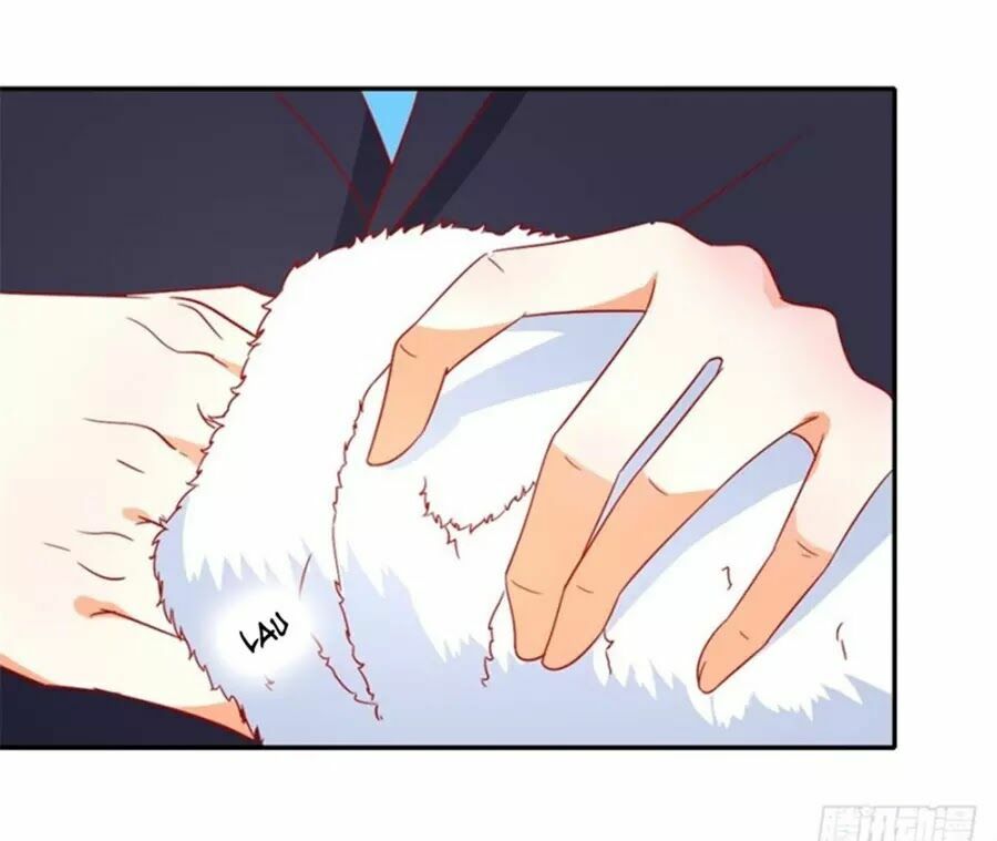 Bác Sĩ Sở Cũng Muốn Yêu: Chapter 241