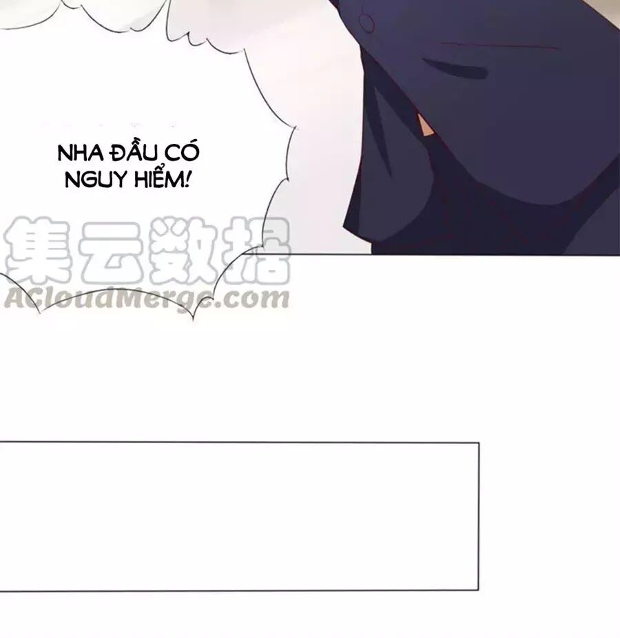 Bác Sĩ Sở Cũng Muốn Yêu: Chapter 243