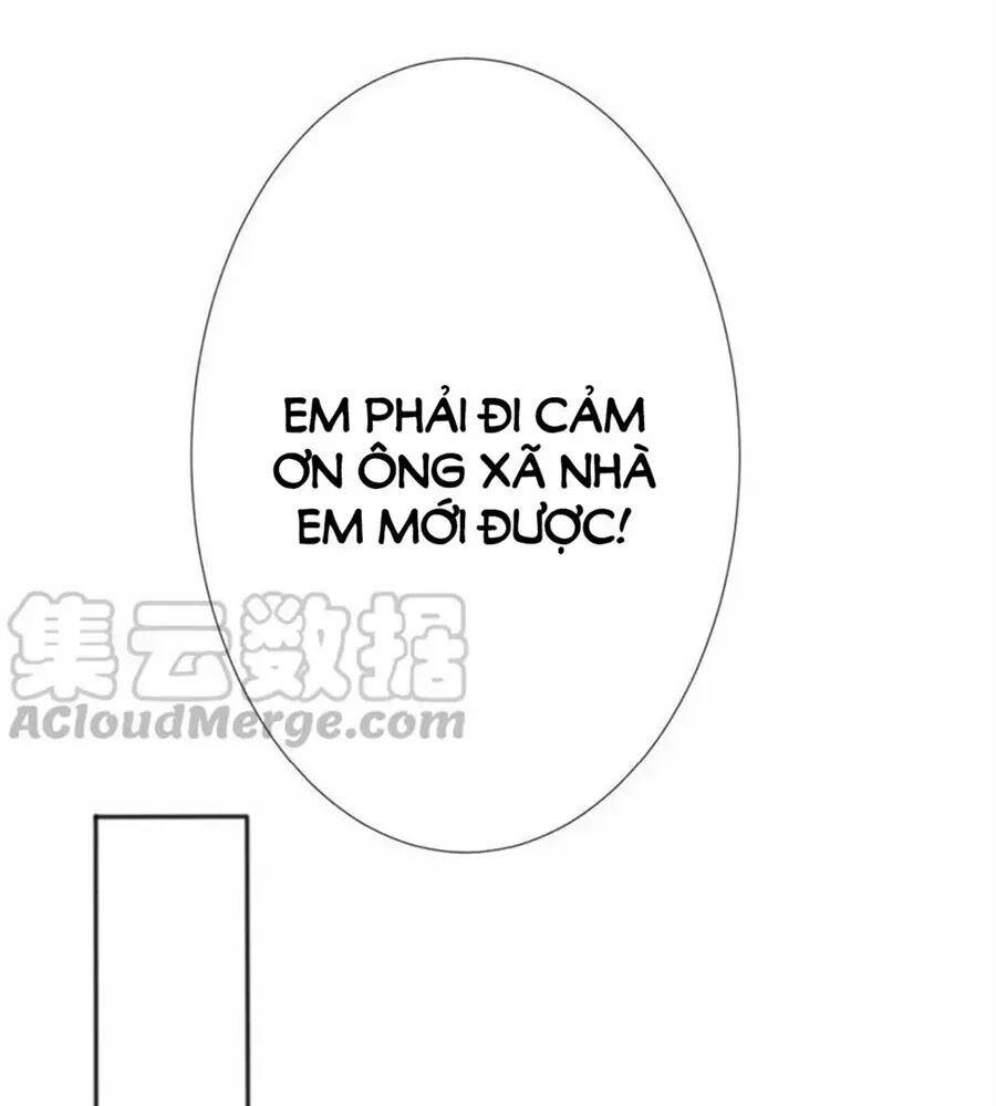 Bác Sĩ Sở Cũng Muốn Yêu: Chapter 247