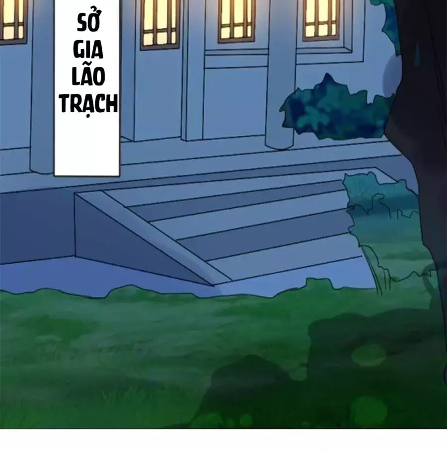 Bác Sĩ Sở Cũng Muốn Yêu: Chapter 249